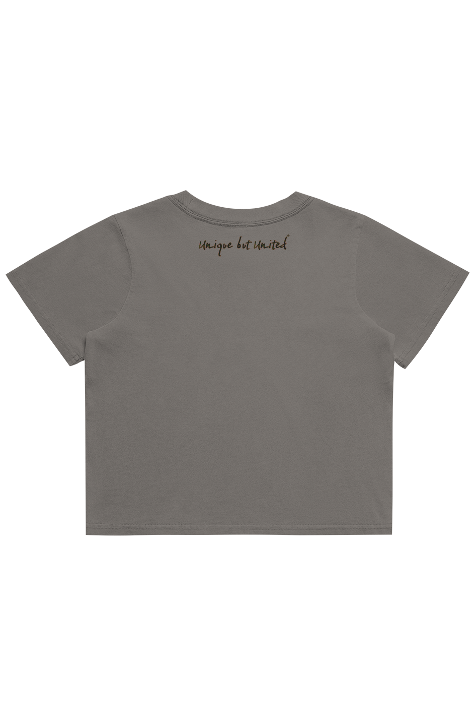 HBCU LOVE Heavy Faded Crop Tee