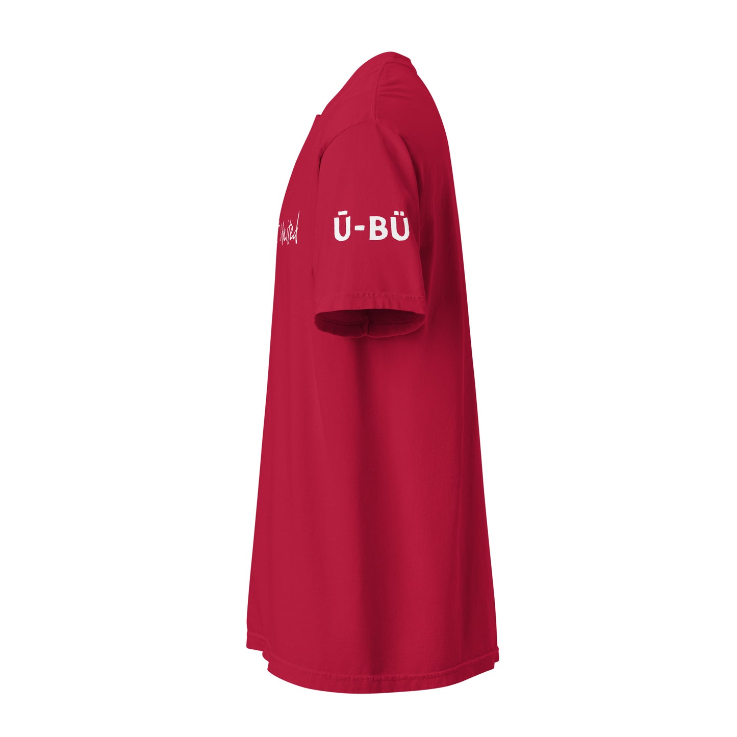 Unique But United Unisex Heavyweight T-Shirt