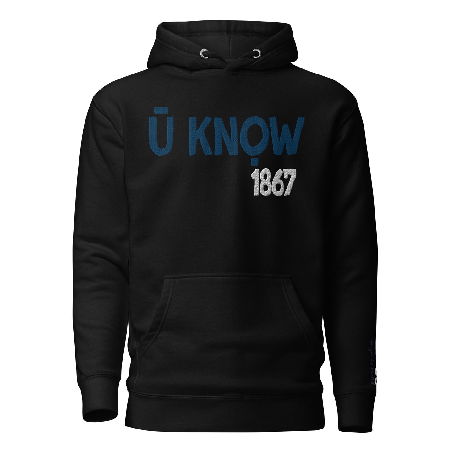 U know 1867 Unisex Embroidered Hoodie