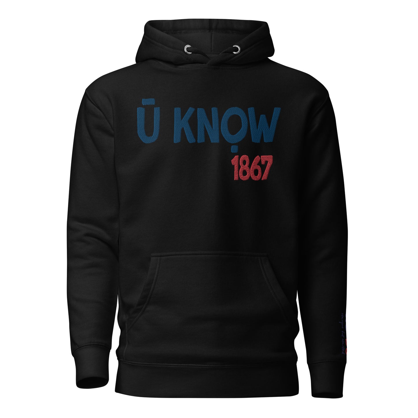 U know 1867 Unisex Embroidered Hoodie