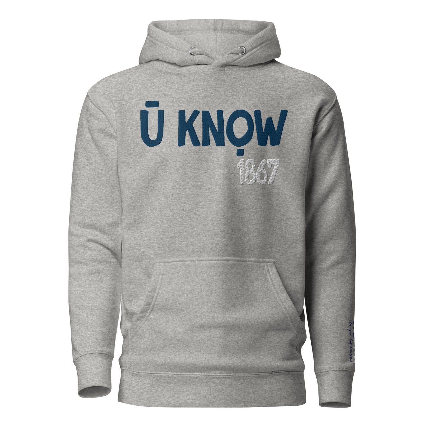 U know 1867 Unisex Embroidered Hoodie