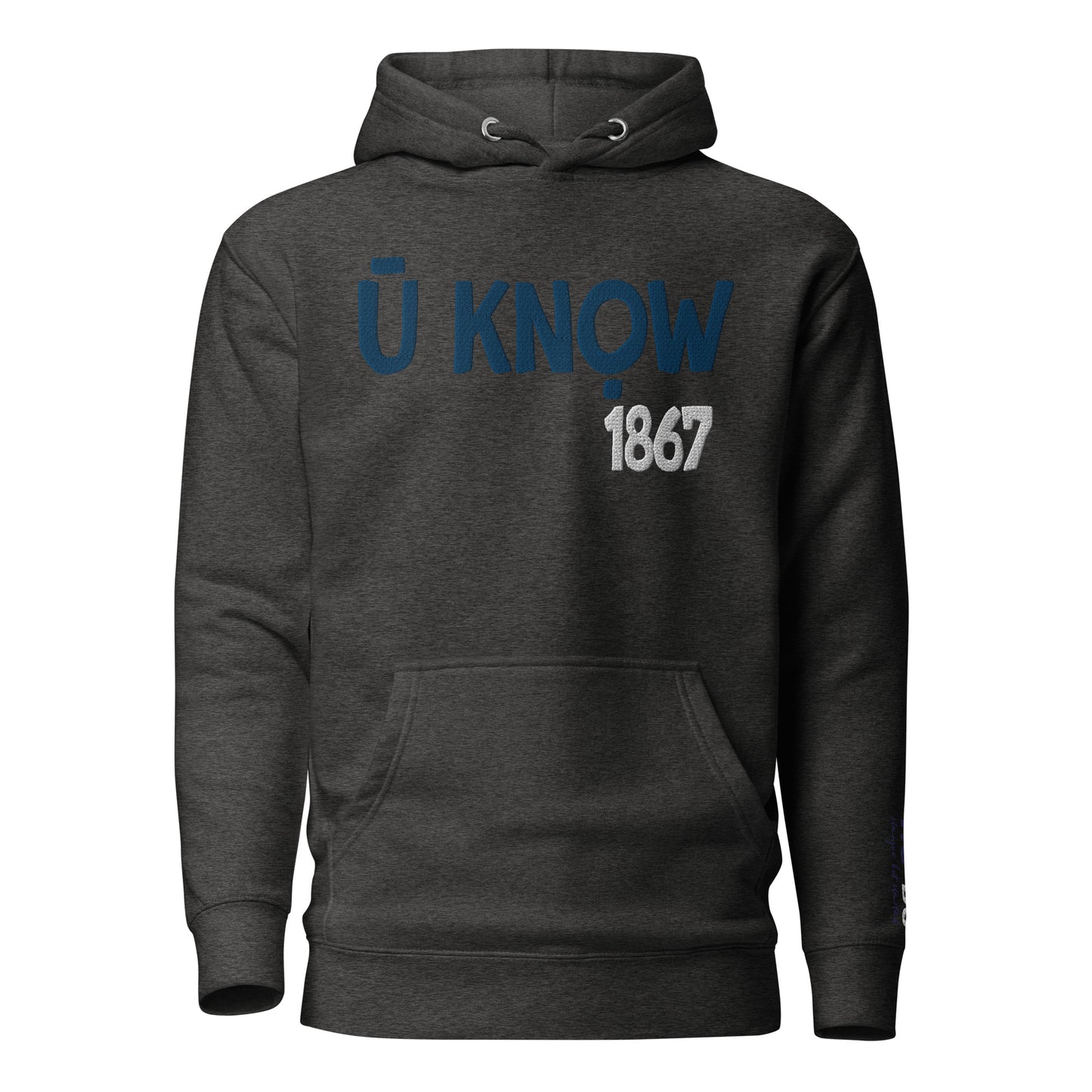 U know 1867 Unisex Embroidered Hoodie