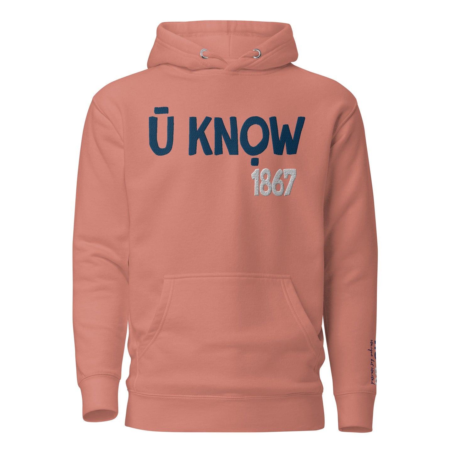 U know 1867 Unisex Embroidered Hoodie