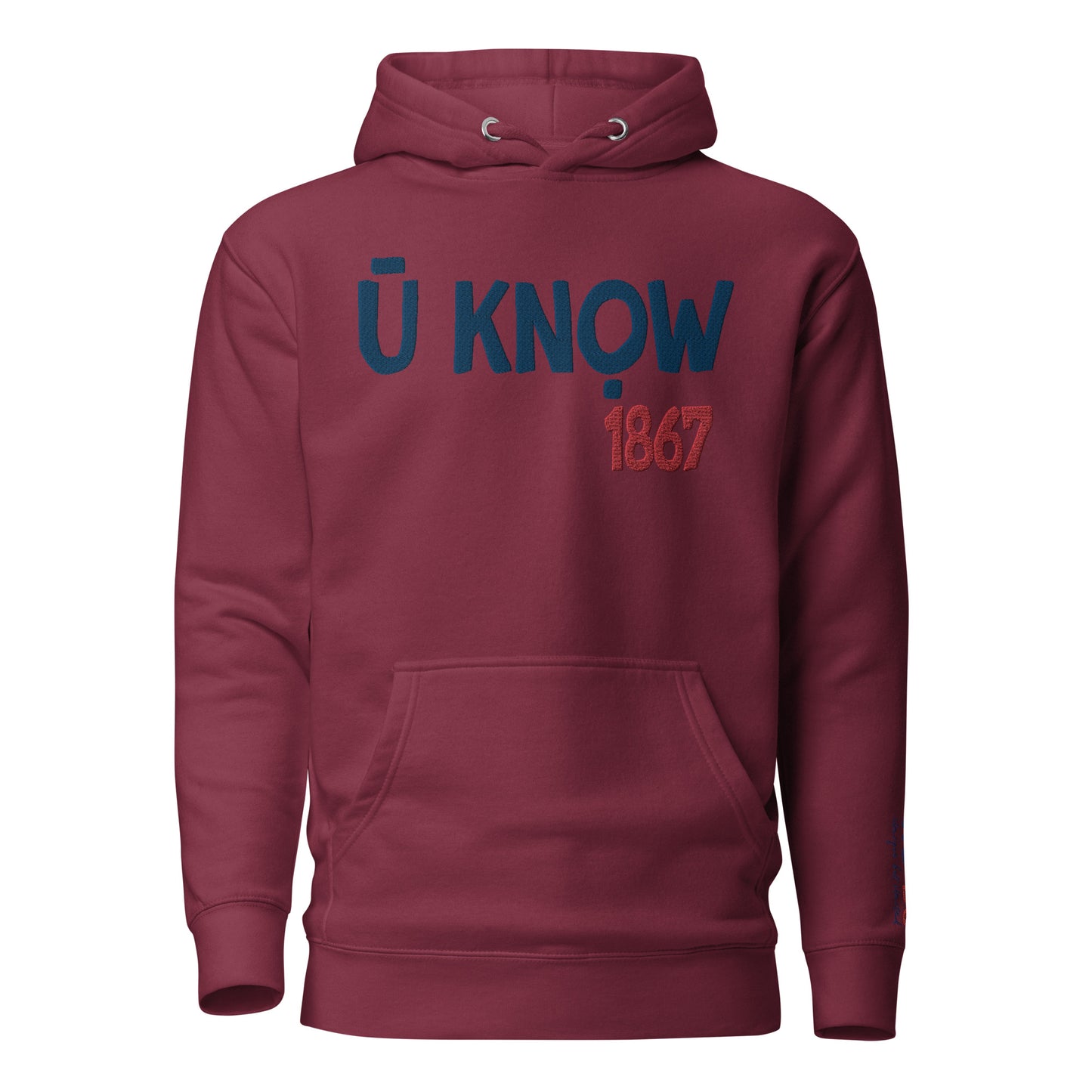 U know 1867 Unisex Embroidered Hoodie
