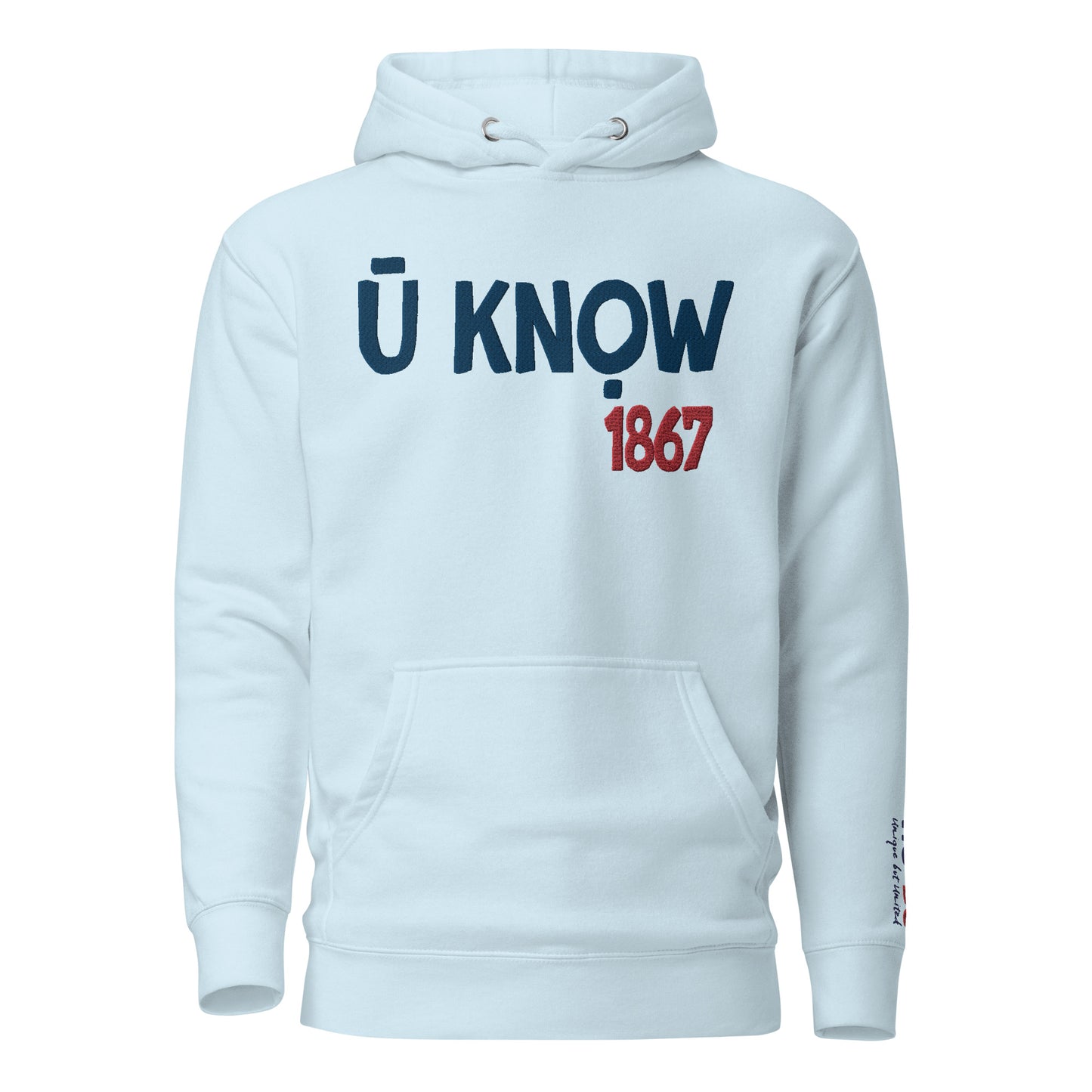 U know 1867 Unisex Embroidered Hoodie